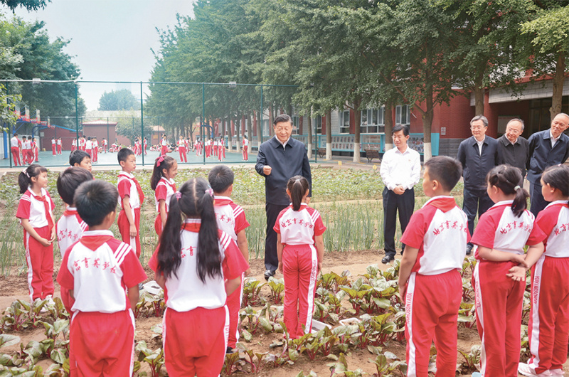 说明: IMG_256 说明: IMG_256